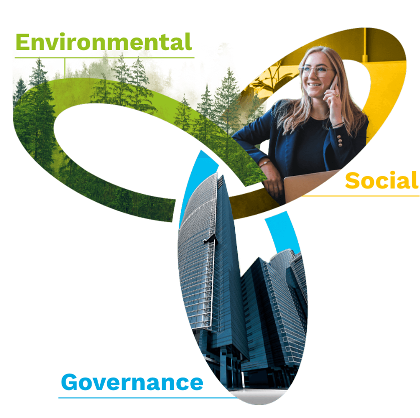 ESG aspects of sustainability: Environment. Social. Governance